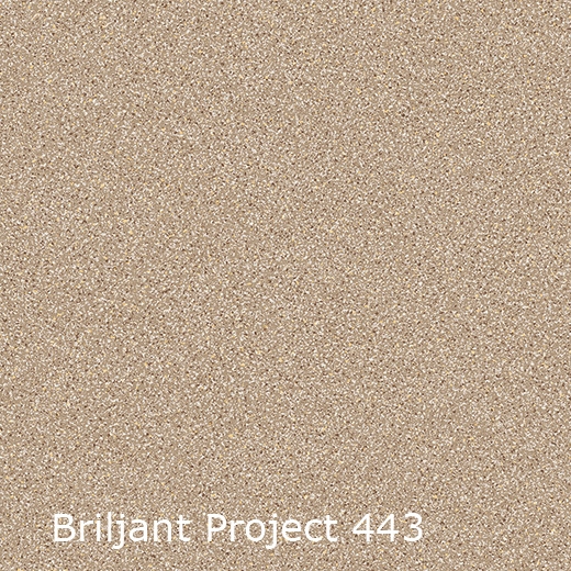 Briljant Project-443